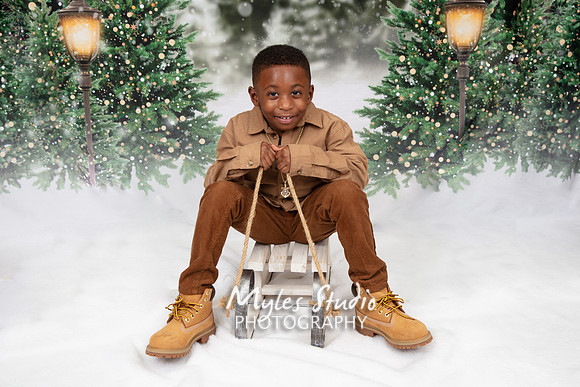 A little boys Christmas Portrait