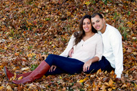 Engagement Portrait - Cluett Schantz Memorial Park.