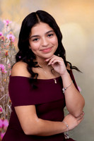Quinceañera Portrait -219 copy
