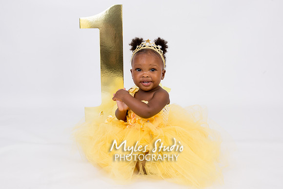 Baby Girl's 1st Birthday Photo