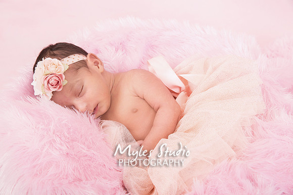 Newborn Portrait