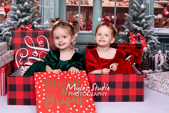 A Family Christmas Portrait