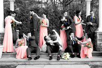 The Crown Plaza - The Wedding Party