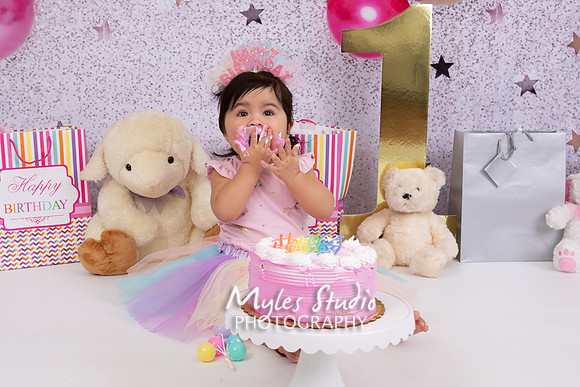 Baby Girl's 1st Birthday Photo Session