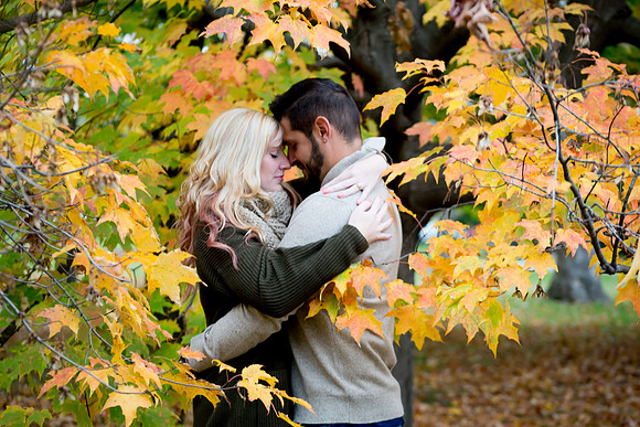 Locust Grove - Engagement photo