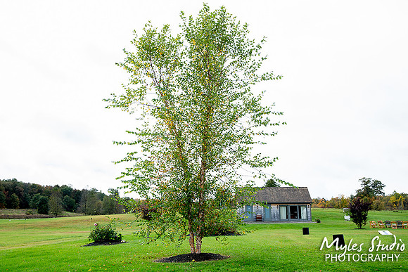 Myles Studio-164 - Indian Ridge