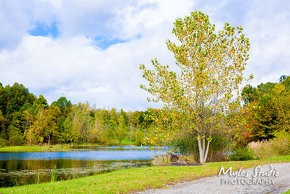 Myles Studio-289- Indian Ridge