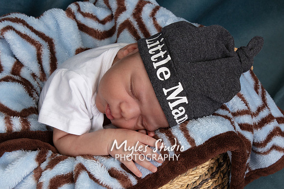 Newborn Portrait