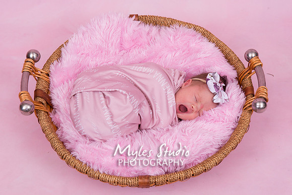Newborn Portrait