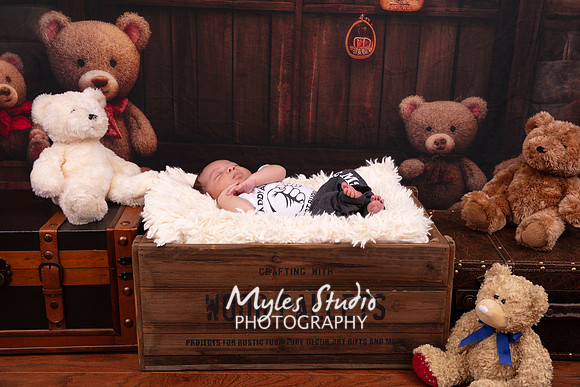Newborn Portrait