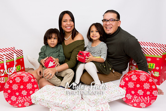 A Family Christmas Portrait