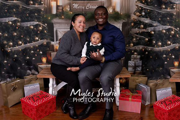 A Family Christmas Portrait