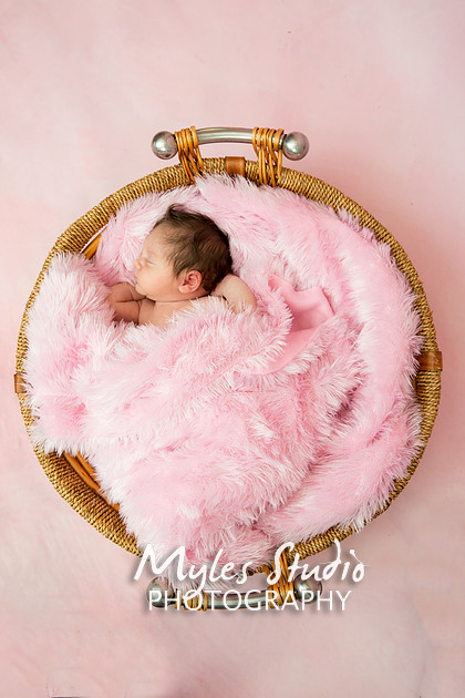Baby Girl's 1st Birthday